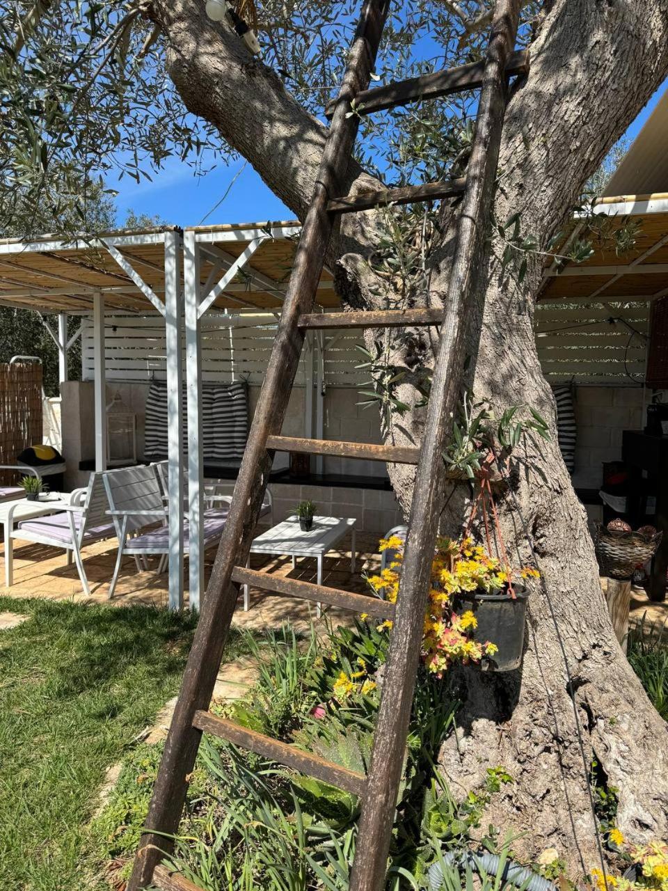 Dimora Ducabianco Bed & Breakfast Monopoli Eksteriør bilde